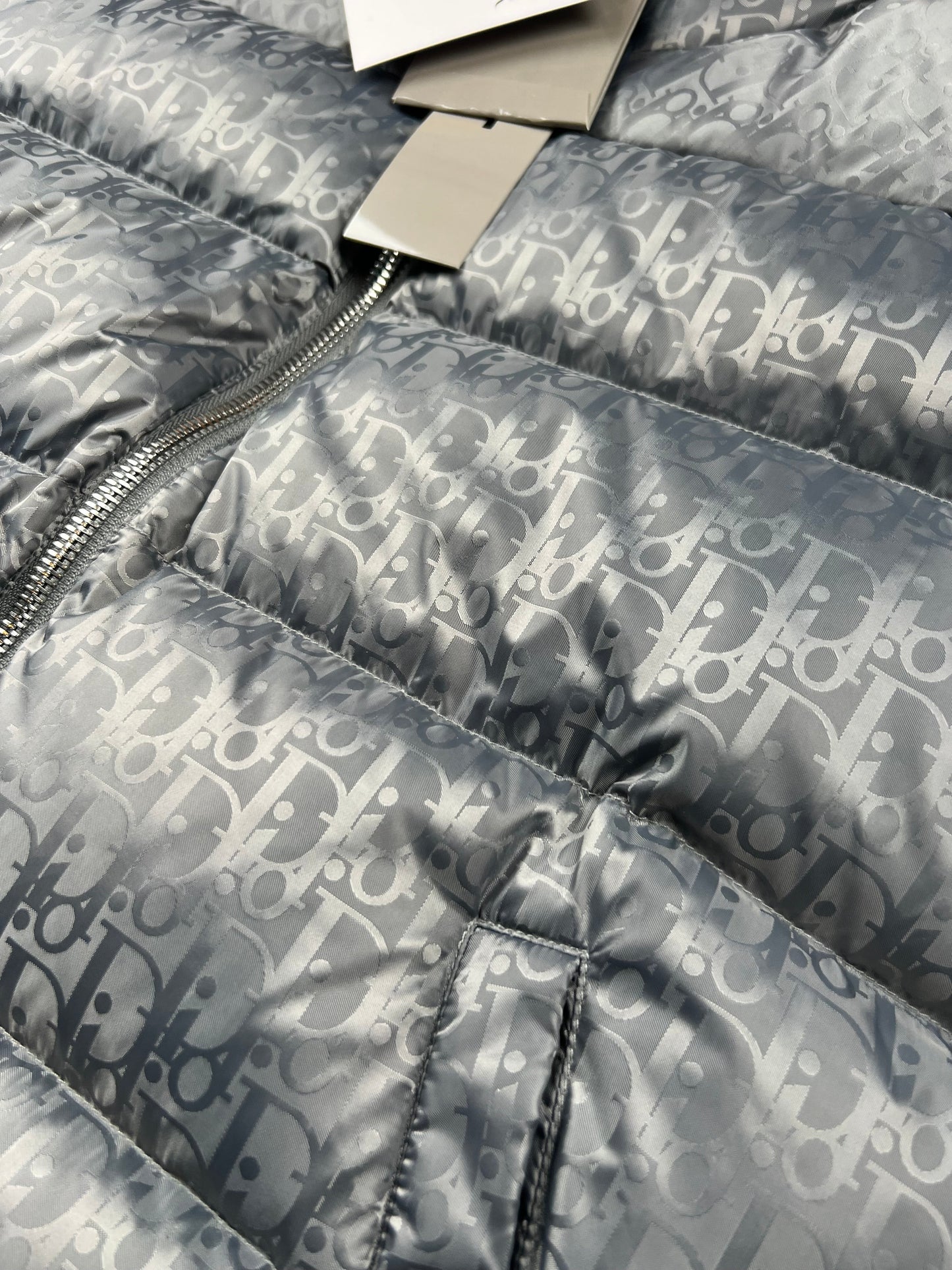 Giacca Oblique grigia Dior