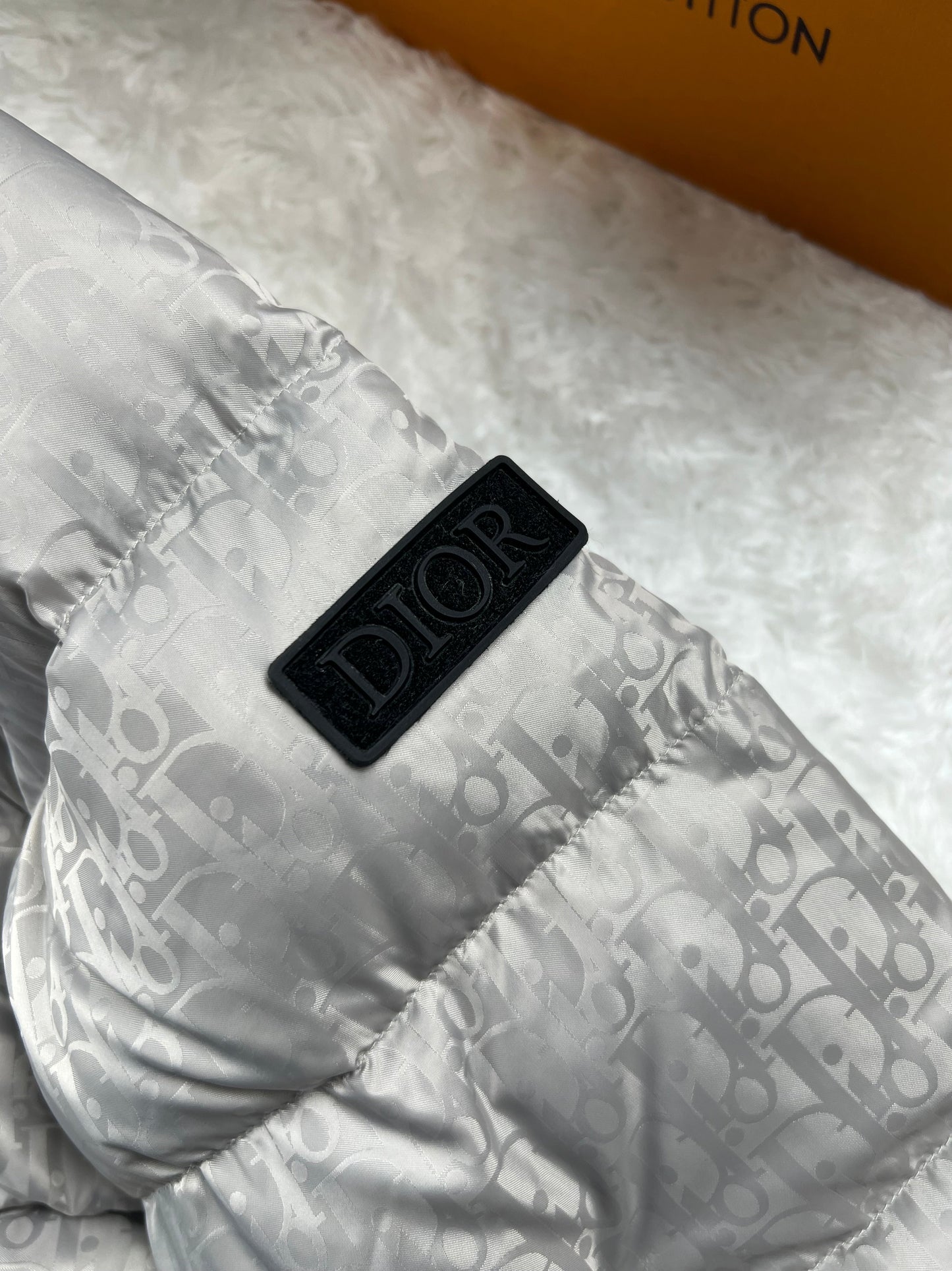Cappotto Dior Silver Oblique