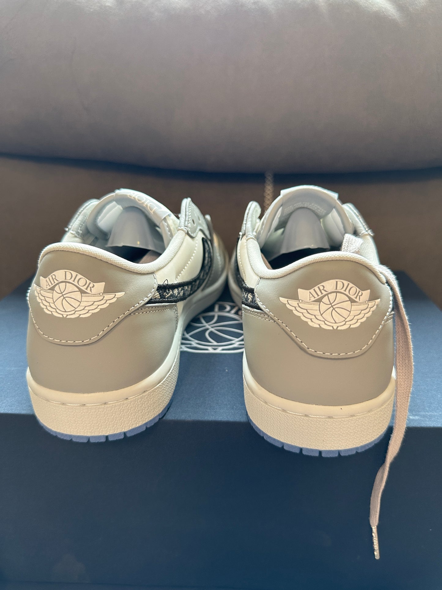 Air Jordan 1 Low x Dior Grey White Limited Edition