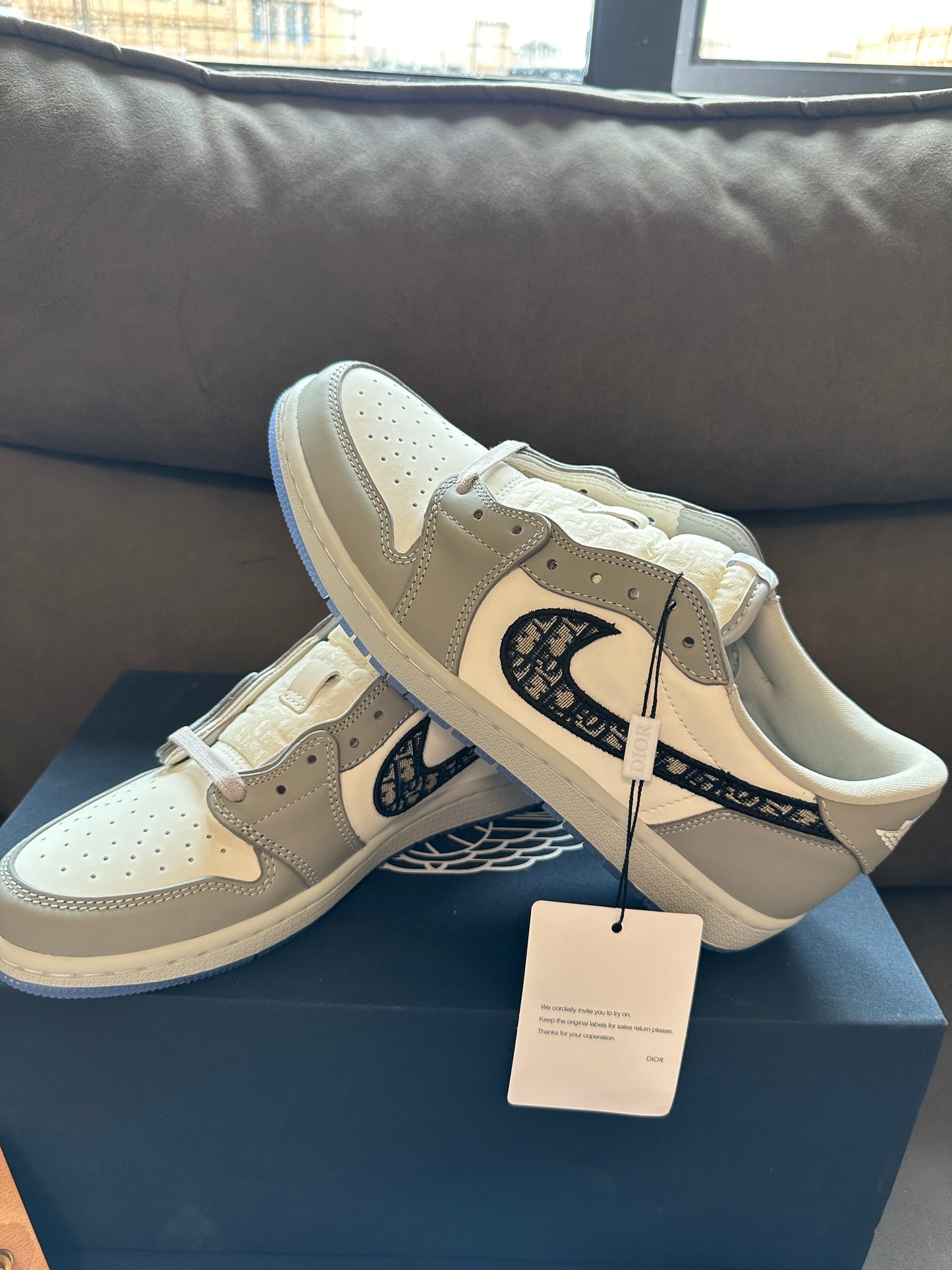 Air Jordan 1 Low x Dior Grey White Limited Edition