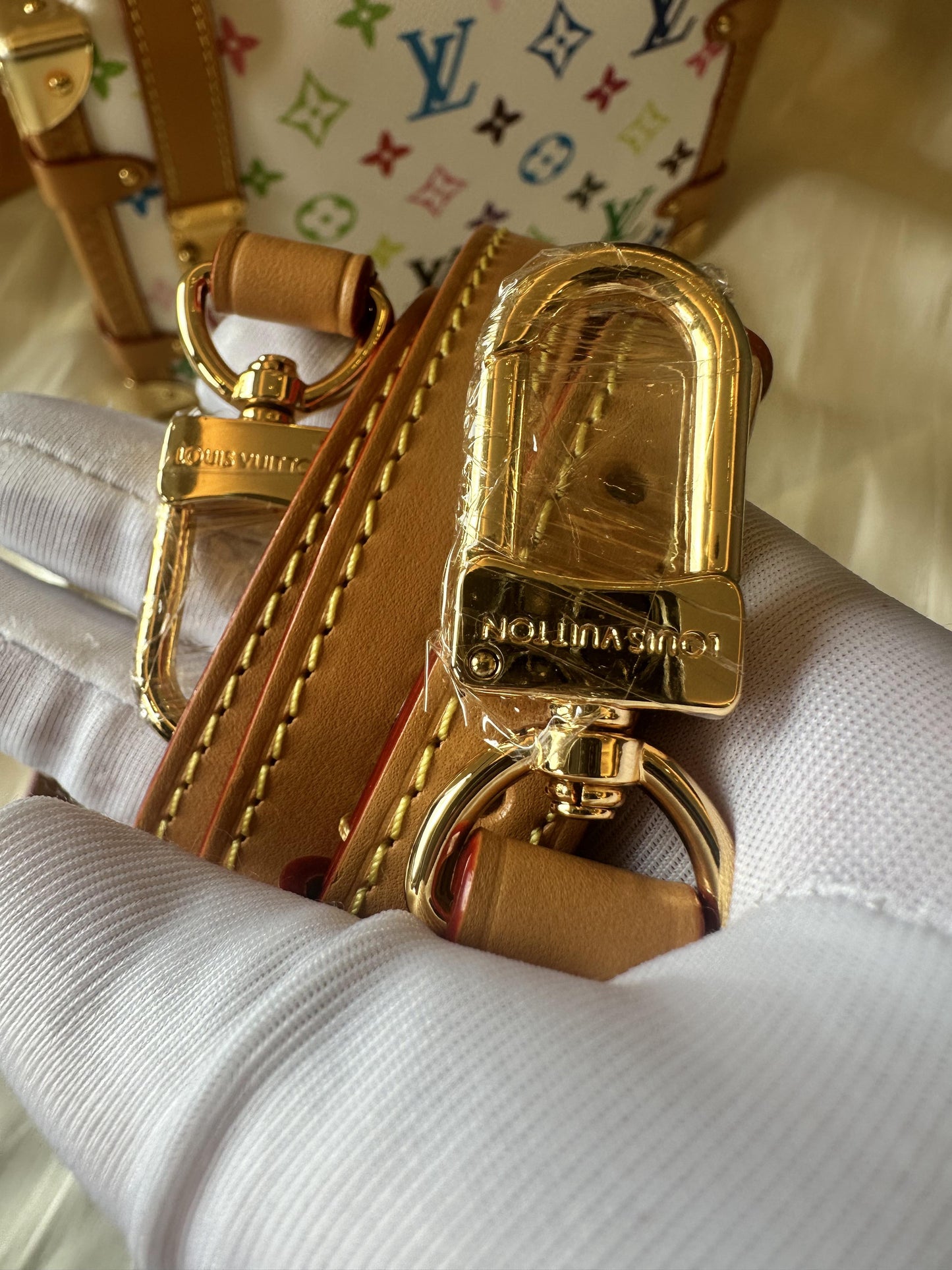 Louis Vuitton multicolor side trunk bag