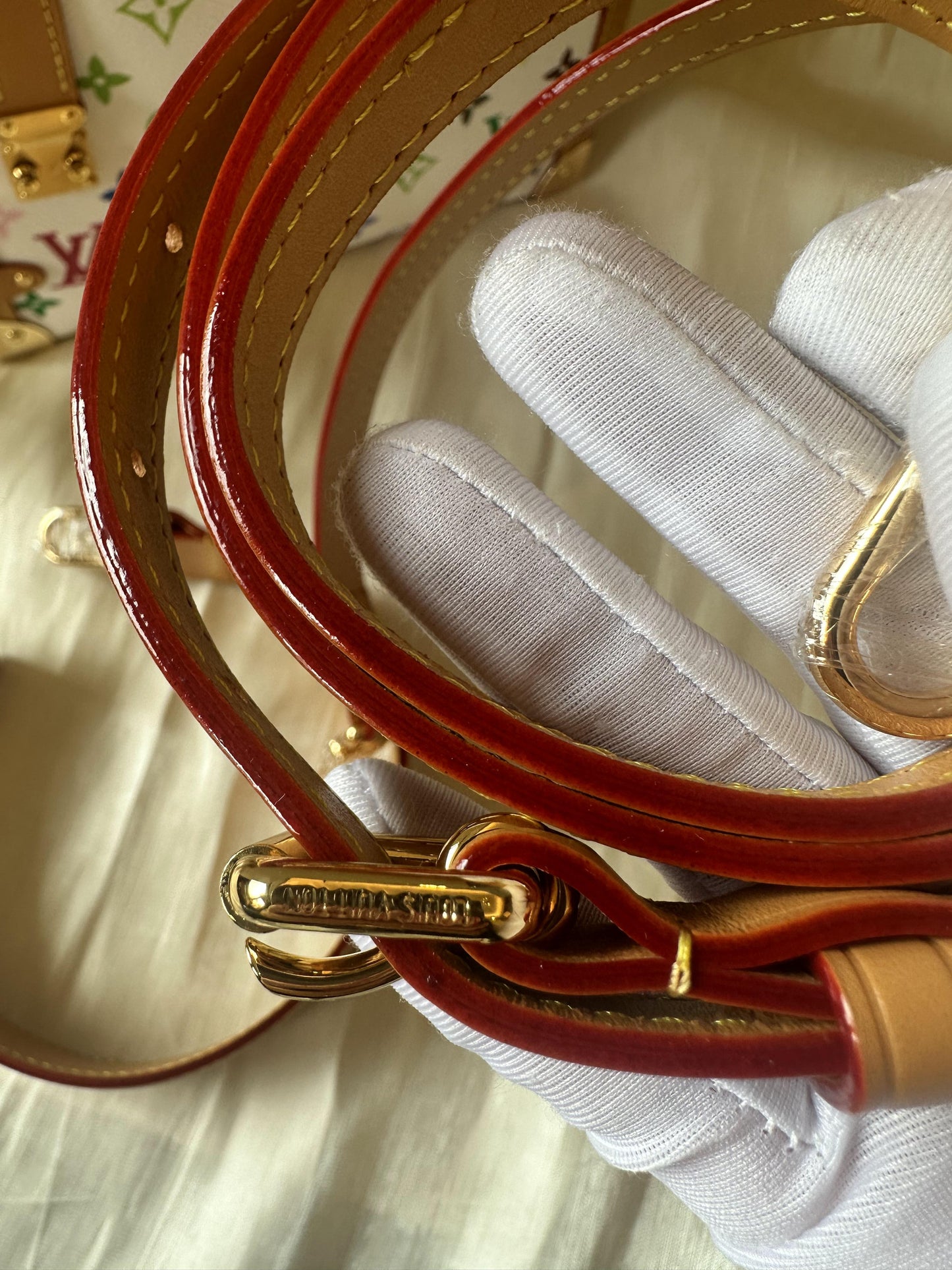 Louis Vuitton multicolor side trunk bag