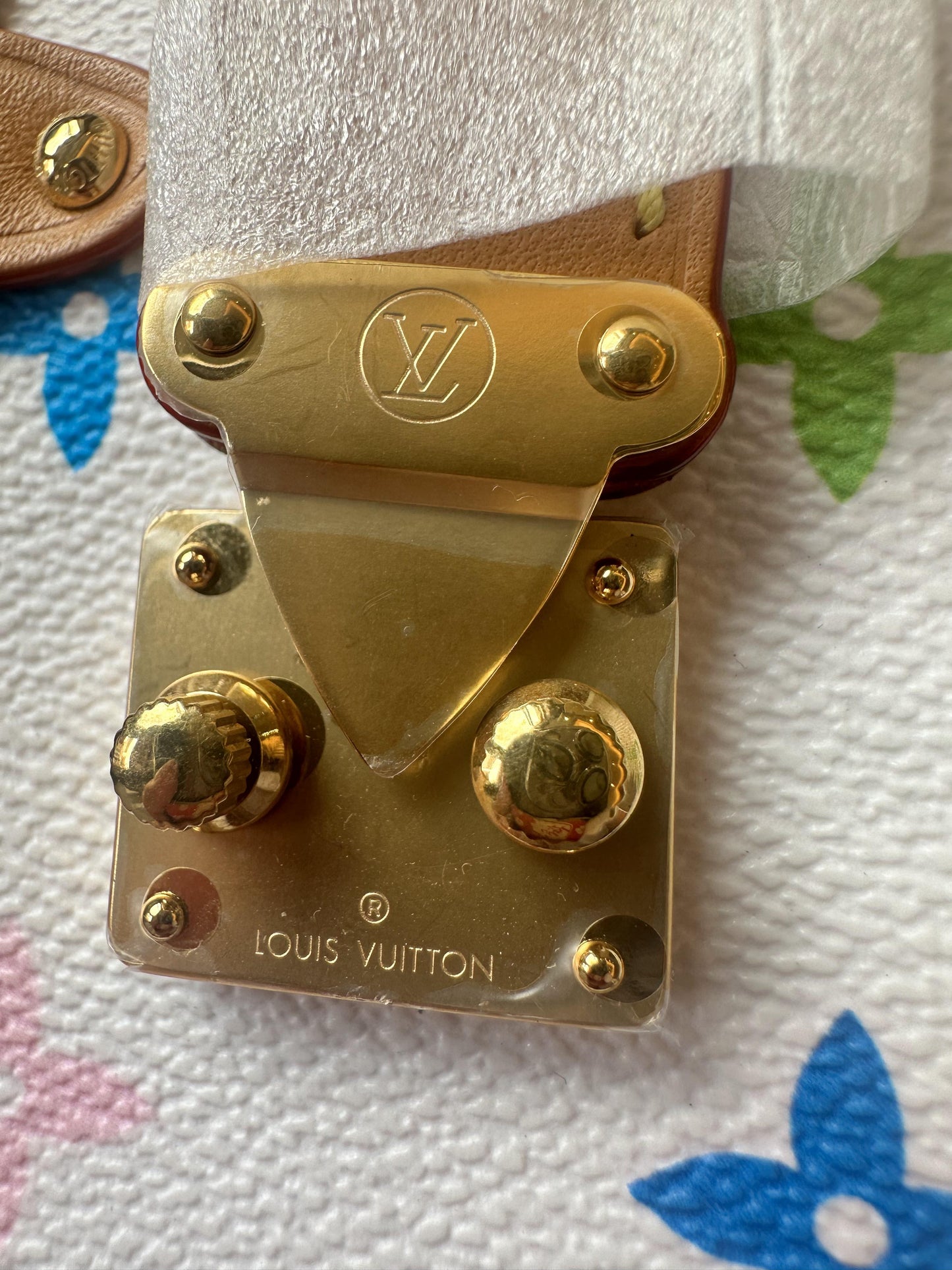 Louis Vuitton multicolor side trunk bag