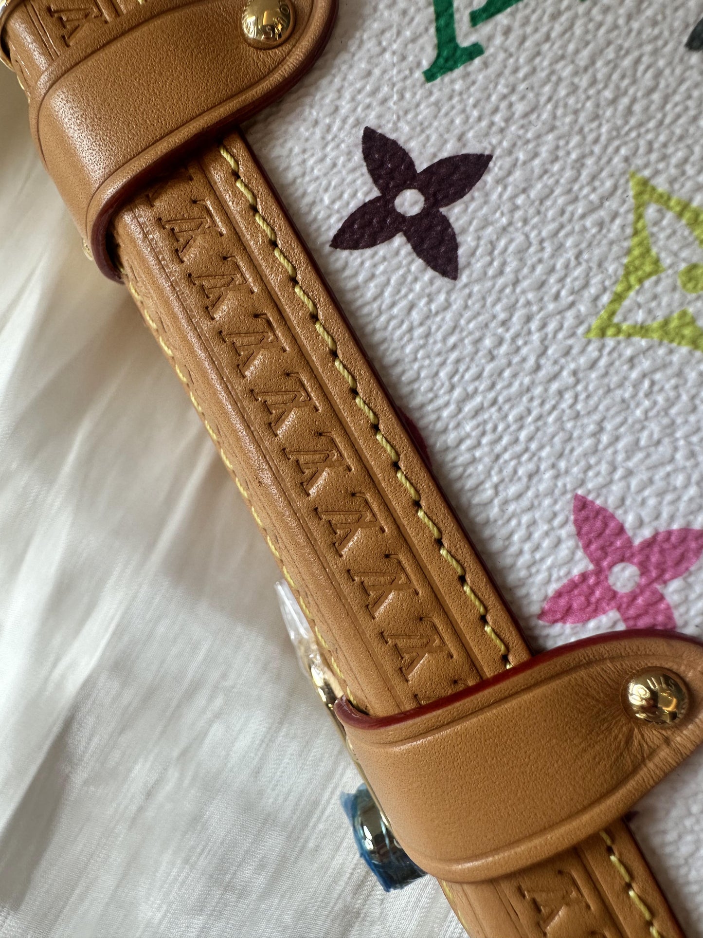 Louis Vuitton multicolor side trunk bag