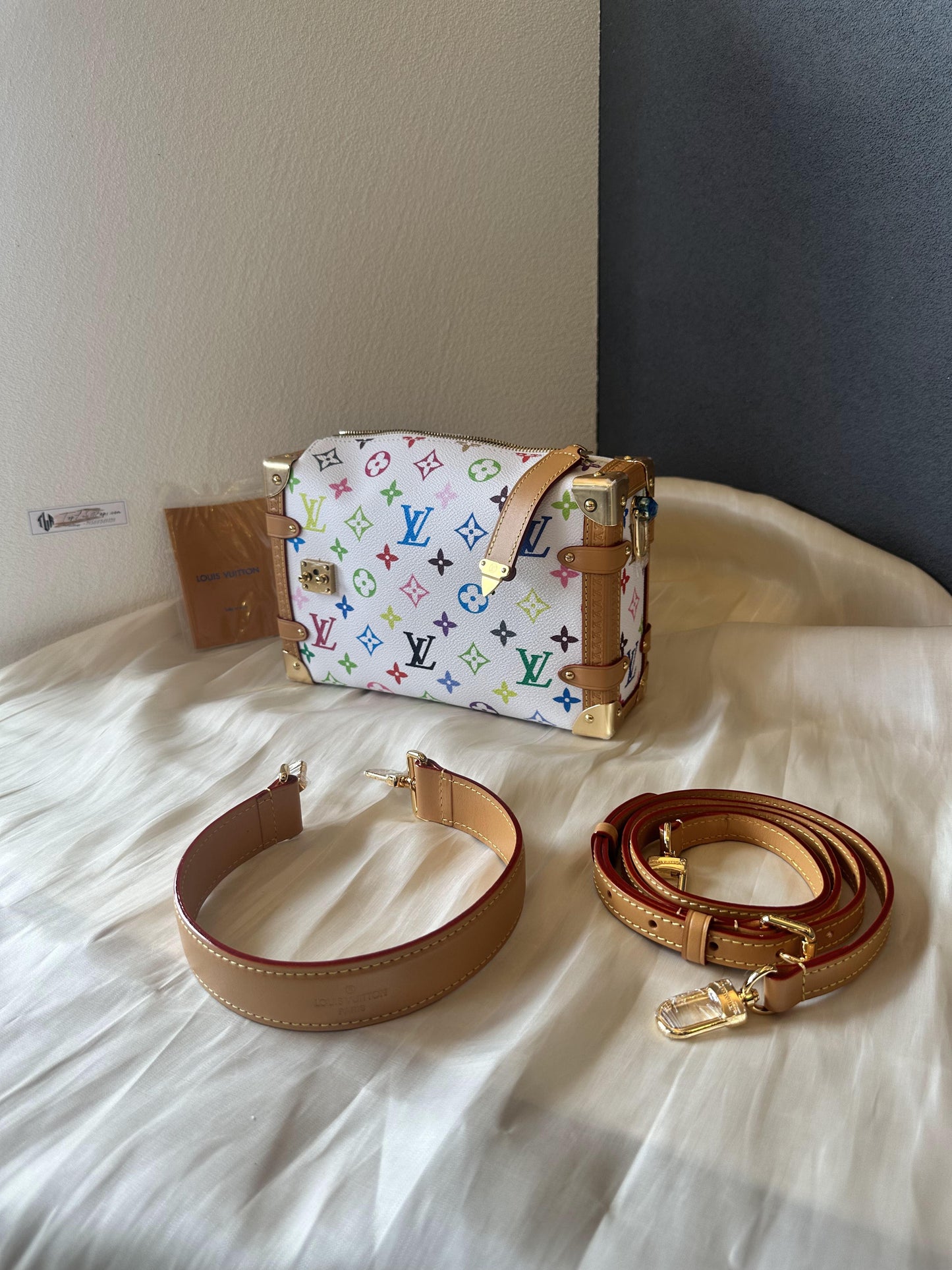 Louis Vuitton multicolor side trunk bag